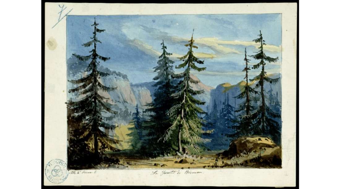 Act IV scene 1 - La Foresta di Birman.png